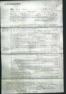 Court of Common Pleas - Stella Brierley-Original Ancestry