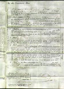 Court of Common Pleas - Mary Spafford-Original Ancestry