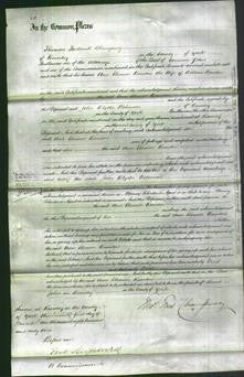 Court of Common Pleas - Ann Eleanor Bainton-Original Ancestry