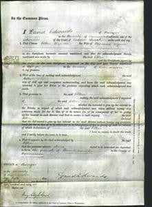 Court of Common Pleas - Ellen Wynne-Original Ancestry