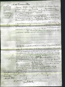 Court of Common Pleas - Elizabeth Webber-Original Ancestry