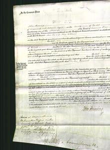 Court of Common Pleas - Ann Williams-Original Ancestry