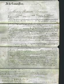 Court of Common Pleas - Martha Frances Ledgard-Original Ancestry