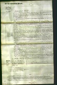 Court of Common Pleas - Harriet Niven-Original Ancestry