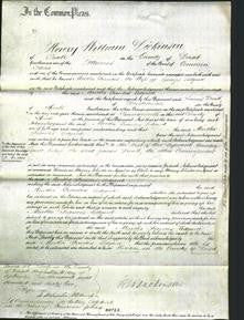 Court of Common Pleas - Martha Frances Ledgard-Original Ancestry