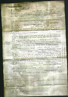 Court of Common Pleas - Ann Lengo-Original Ancestry