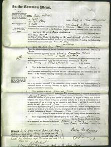 Court of Common Pleas - Hannah Jones-Original Ancestry