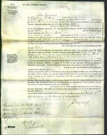 Court of Common Pleas - Sophia Cottrell-Original Ancestry