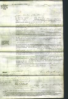 Court of Common Pleas - Jannett Davies-Original Ancestry