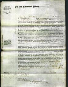 Court of Common Pleas - Mary Matilda Jones-Original Ancestry