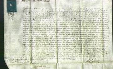 Court of Common Pleas - Ann Webb and Elizabeth Palmer-Original Ancestry
