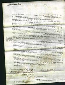 Court of Common Pleas - Mary Greenslade-Original Ancestry