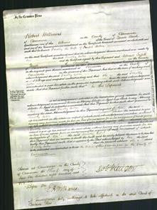 Court of Common Pleas - Dorothy Acton-Original Ancestry