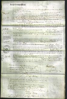 Court of Common Pleas- Eliza Moss-Original Ancestry