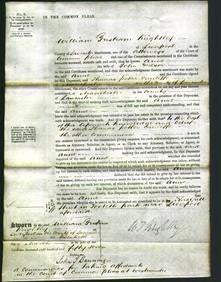 Court of Common Pleas - Anne Nelson-Original Ancestry