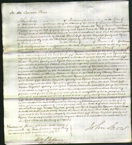 Court of Common Pleas - Sarah Goffe Burton, Elizabeth Gausby and Sophia Evans-Original Ancestry