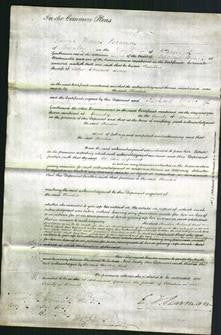 Court of Common Pleas - Amelia Birch-Original Ancestry