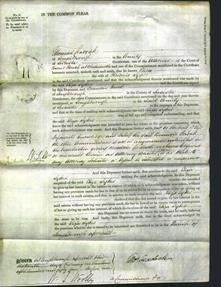 Court of Common Pleas - Eliza Sykes-Original Ancestry