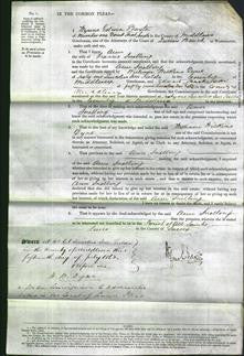 Court of Common Pleas - Ann Snelling-Original Ancestry