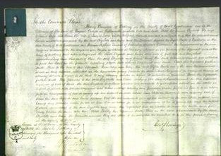 Court of Common Pleas - Elizabeth Wake and Anne Lewis-Original Ancestry