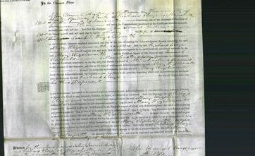 Court of Common Pleas - Mary Wigelsworth-Original Ancestry