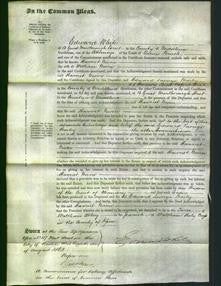 Court of Common Pleas - Harriet Niven-Original Ancestry