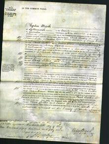 Court of Common Pleas - Sarah Ladkin and Emma Morris-Original Ancestry