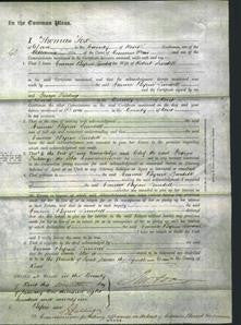 Court of Common Pleas - Emma Byron Lindsell-Original Ancestry