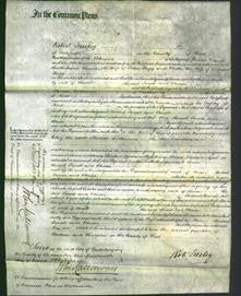 Court of Common Pleas - Sarah Fagg-Original Ancestry