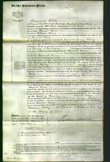 Court of Common Pleas - Harriet Niven-Original Ancestry