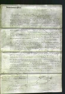 Court of Common Pleas - Maria Rowe-Original Ancestry