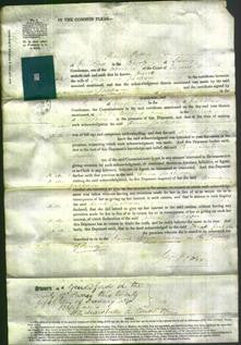 Court of Common Pleas - Anne Jackson-Original Ancestry