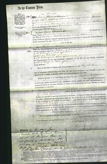 Court of Common Pleas - Elizabeth Rowe-Original Ancestry