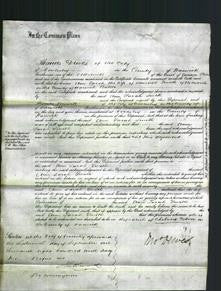 Court of Common Pleas - Ann Sarah Smith-Original Ancestry