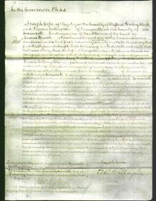 Court of Common Pleas - Mary Ann Hitchin-Original Ancestry