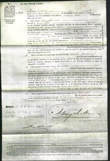 Court of Common Pleas - Mary Ann Miller-Original Ancestry