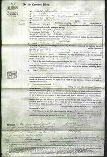 Court of Common Pleas - Eliza Boyd-Original Ancestry