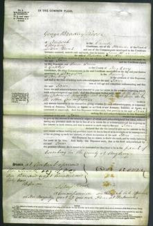 Court of Common Pleas - Jane Hughes-Original Ancestry