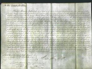Court of Common Pleas - Mary Anne Attfield-Original Ancestry