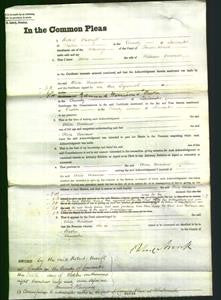 Court of Common Pleas - Alice Ainscow-Original Ancestry