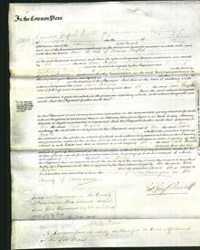 Court of Common Pleas - Jane Hughes-Original Ancestry