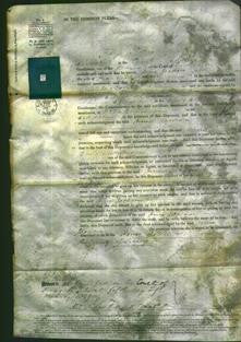 Court of Common Pleas - Anne Jackson-Original Ancestry