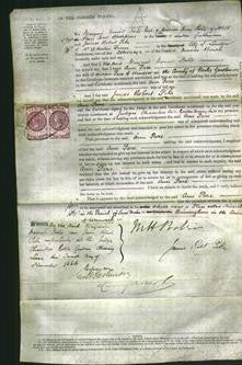 Court of Common Pleas - Ann Pare-Original Ancestry