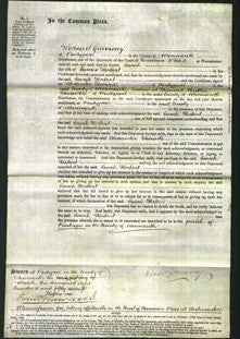 Court of Common Pleas - Sarah Herbert-Original Ancestry