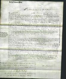 Court of Common Pleas - Charlotte Fanny Countess Poulett-Original Ancestry