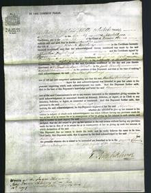 Court of Common Pleas - Martha Hewlings-Original Ancestry