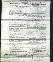 Court of Common Pleas - Nancy Skinner Carter-Original Ancestry