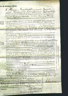 Court of Common Pleas - Catherine Isabella Shand-Original Ancestry