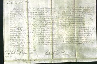 Court of Common Pleas - Mary Anne Attfield-Original Ancestry