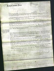 Court of Common Pleas - Mary Hughes-Original Ancestry